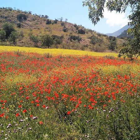 Magina Dream La Guardia Turismo Rural La Guardia de Jaén المظهر الخارجي الصورة